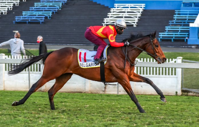 'Gambling board must pay for case against horse-betting giant'