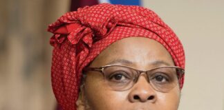 Mapisa-Nqakula allegedly accepted a bribe from a service