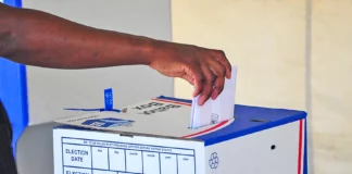 2024 elections