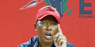 EFF and Malema