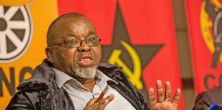 Mantashe tribalism claims