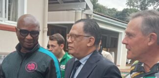 Motsepe and Kodwa