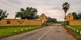 Zebediela Estate