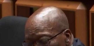 Jacob Zuma MK Party