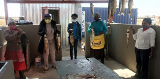 Fish farming creates jobs in rural village 