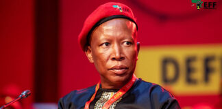 EFF gives thumbs down to Xhakaza's reshuffle