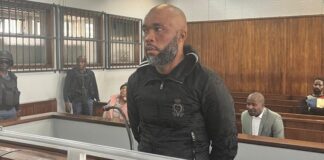 Vusimuzi Matlala remanded in custody