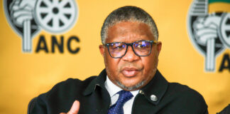 Mbalula's report challenged