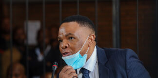 Mkhwanazi and Lerutla granted bail