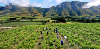 Izwi Labantu Forum demands protection of black farmers against criminality. (Photo by David Silverman/Getty Images)