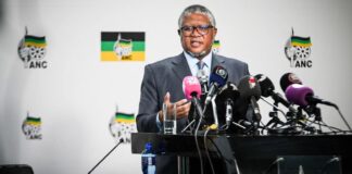 Opinion | ANC’s double agenda on immigration question