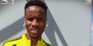 Fifa slaps Themba Zwane with three-match ban – World Cup virtually over for 'Mshishi'