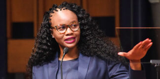 Tshwane council decisions under court scrutiny